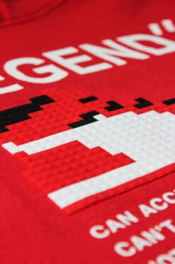 Legend Pixel Shoe Fleece Hoodie 23 Legend Pixel Shoe Fleece Hoodie -Victorious JK5054 RED 7