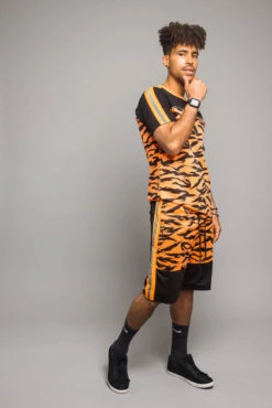 Reflective Tiger Striped Set 17 Reflective Tiger Striped Set -Victorious ST401 NOR 4