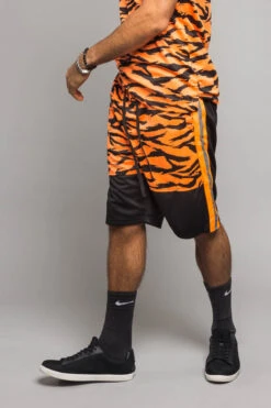 Reflective Tiger Striped Set 18 Reflective Tiger Striped Set -Victorious ST401 NOR 5