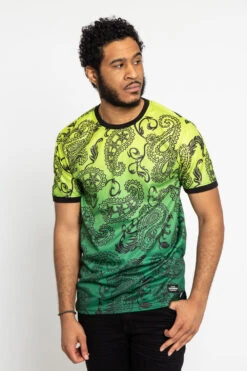 Paisley Gradient Ombre T-Shirt -Victorious TS7340 FZN 1