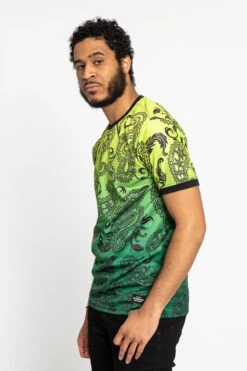 Paisley Gradient Ombre T-Shirt -Victorious TS7340 FZN 2