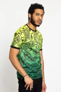 Paisley Gradient Ombre T-Shirt -Victorious TS7340 FZN 4