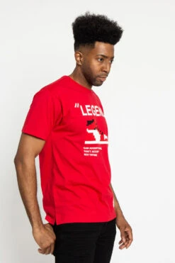 Legend Lego Pixel T-Shirt -Victorious TS7375 RED 4