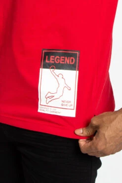 Legend Lego Pixel T-Shirt -Victorious TS7375 RED 7