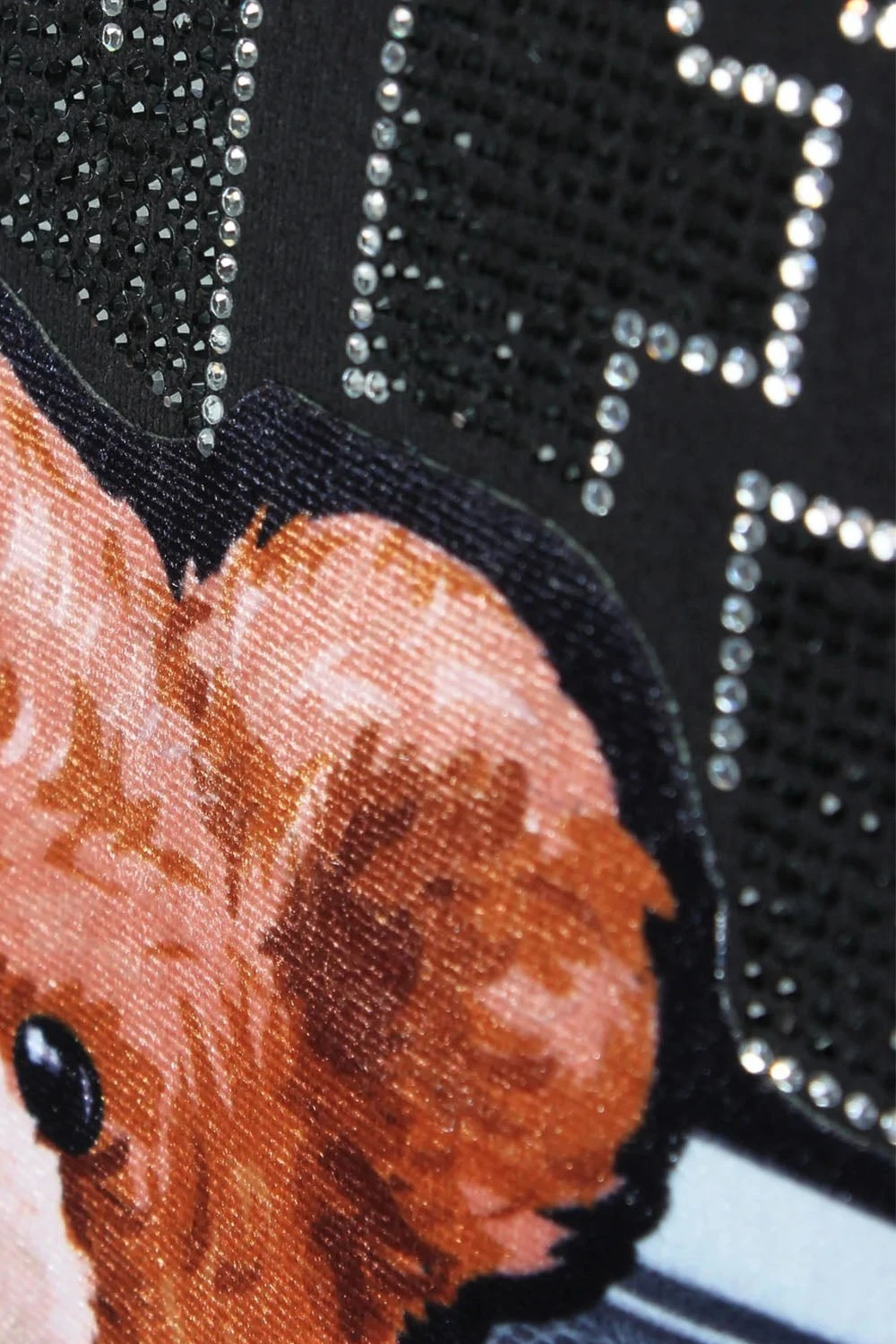 Money Stacks Crystal Embellished Bear T-Shirts 4 Money Stacks Crystal Embellished Bear T-Shirts - Image 2