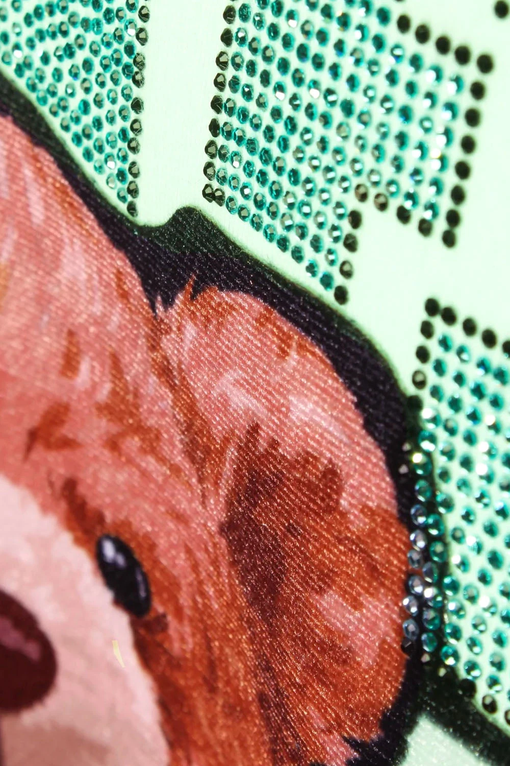 Money Stacks Crystal Embellished Bear T-Shirts 6 Money Stacks Crystal Embellished Bear T-Shirts - Image 4