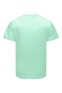 Born With A Silver Spoon T-Shirt 2.0 -Victorious TS7494 MNT BACK