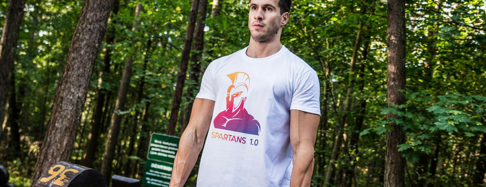 Victorious -Victorious pexels frame kings 255818 812745